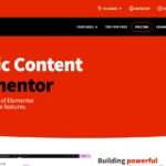Dynamic Content For elementor plugin