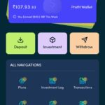 Type 2 Investment website