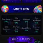 Type 1 Investment website