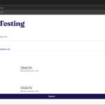 AADHAR VERIFICATION SYSTEM FOR WORDPRESS VIA JETENGINE